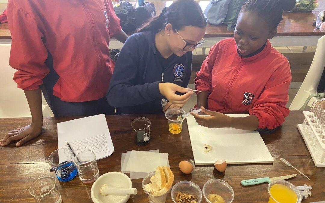 Uncovering the Secrets of Food!