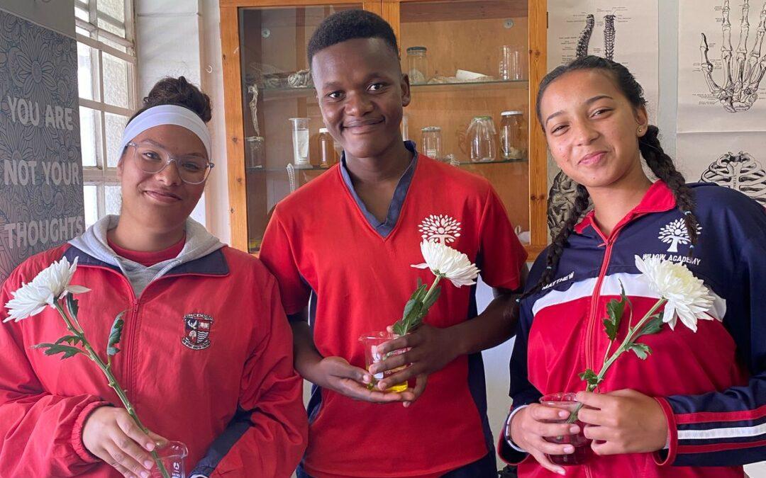 Seeing Science in Bloom!