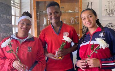 Seeing Science in Bloom!